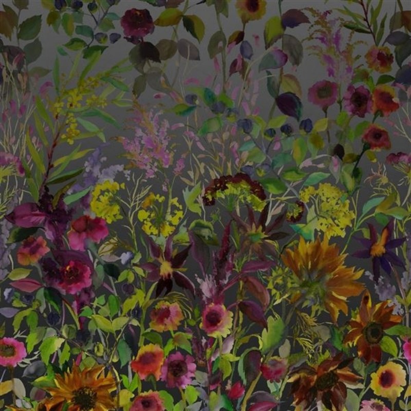 Bild på INDIAN SUNFLOWER GRAPHITE - PDG1068/01
