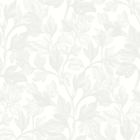 Picture of Fig - 7167