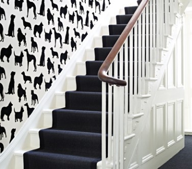 Picture of Best in Show - W5872-01