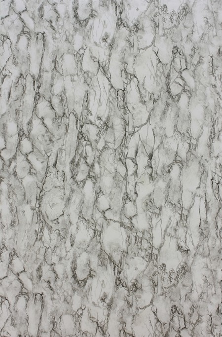 Picture of Kershaw Plain - NCW4204-01