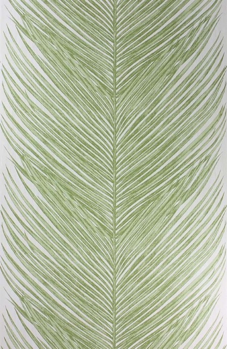 Image de Mey Fern - NCW4154-03