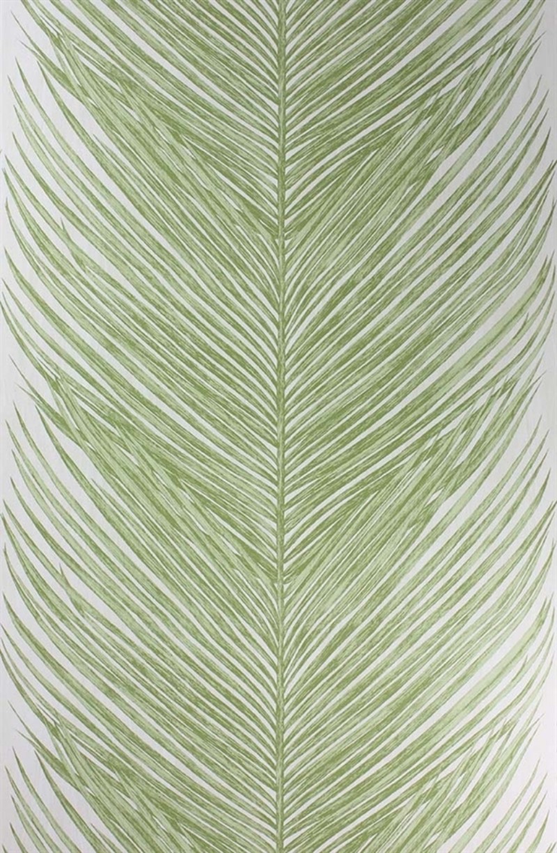 Afbeeldingen van Mey Fern - NCW4154-03