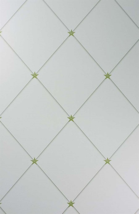 Image de Torosay - NCW4151-04