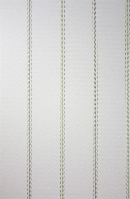 Image de Strome - NCW4127-02