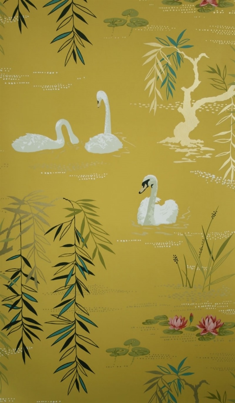Bild på Swan Lake - NCW4020-05