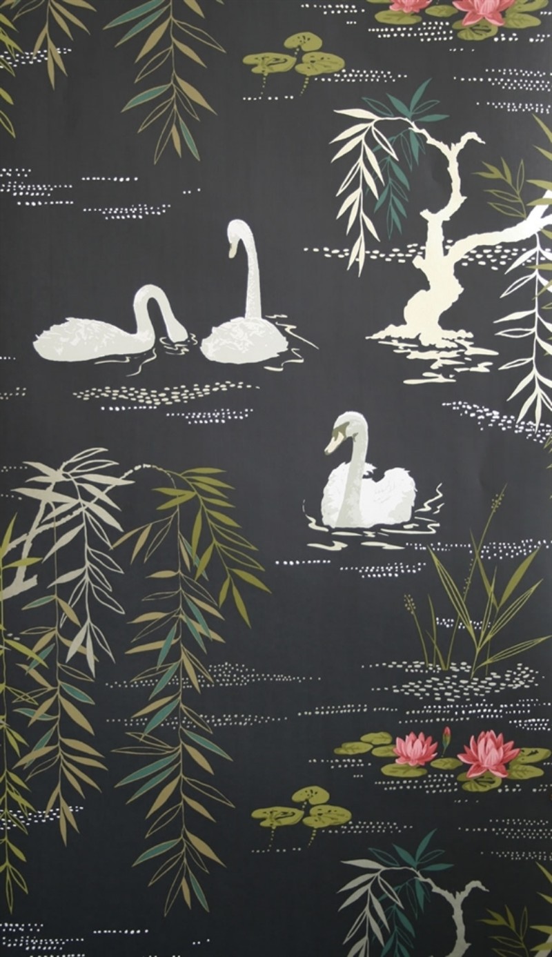 Afbeeldingen van Swan Lake - NCW4020-04