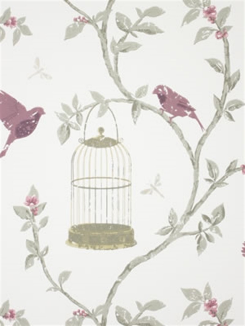 Afbeeldingen van Birdcage Walk - NCW3770-06