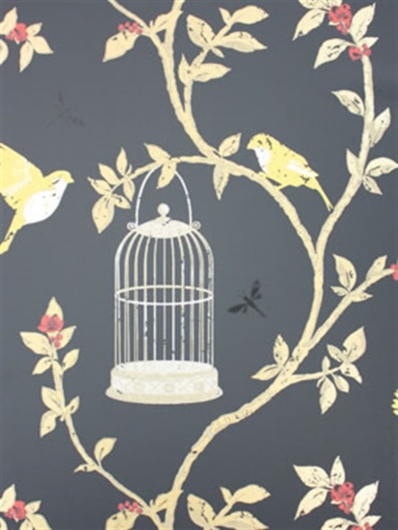 Afbeeldingen van Birdcage Walk - NCW3770-05