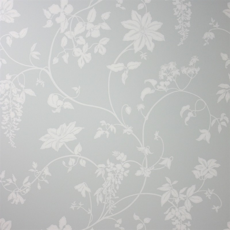 Afbeeldingen van Wisteria  - NCW2242-03