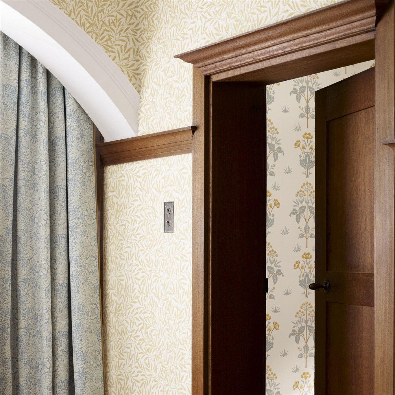 Image de Willow Buff - 210385