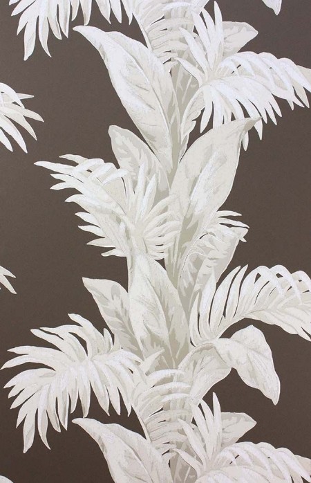 Image de Palmetto - NCW4274-04