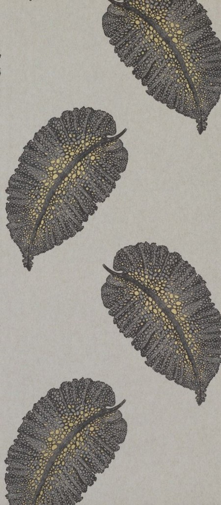 Image de Paraggi - W7218-04