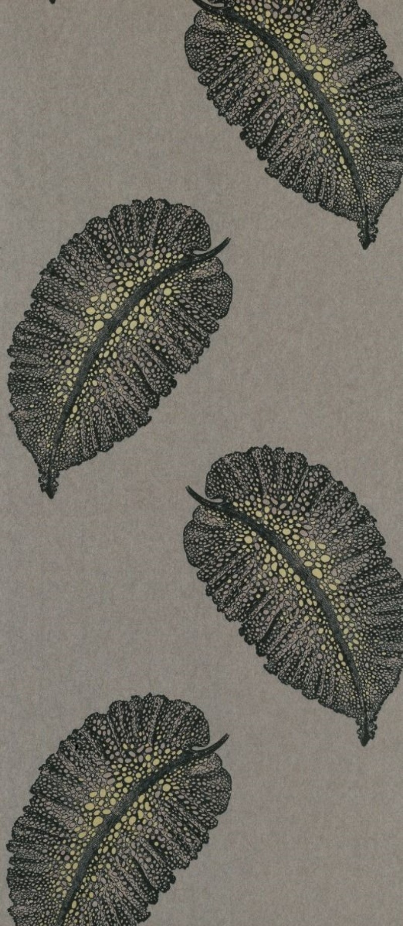 Picture of Paraggi - W7218-03