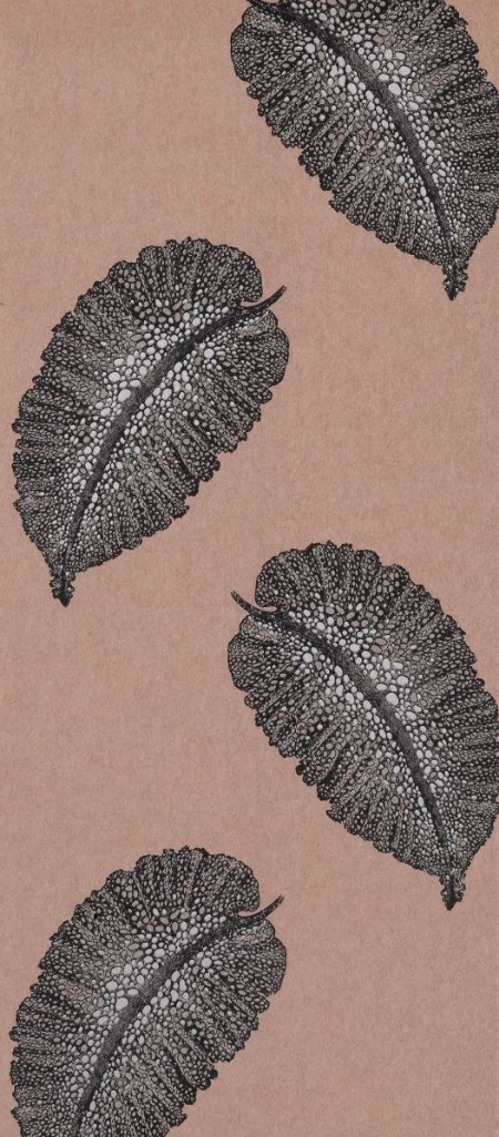 Image de Paraggi - W7218-02