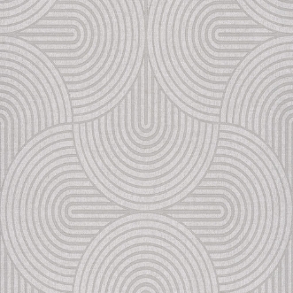 Bild på Earth Silver - EAR604