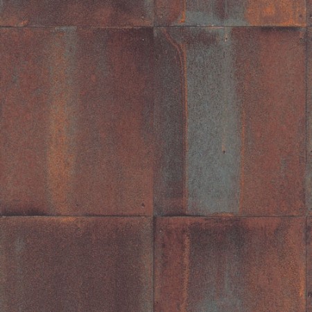 Bild på Morsus Rust - EAR406