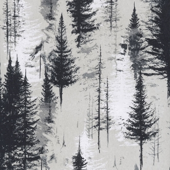 Bild på Lucas Ash - EAR101