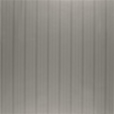 Image de TREVOR STRIPE STAINLESS STEEL - PRL5014/03