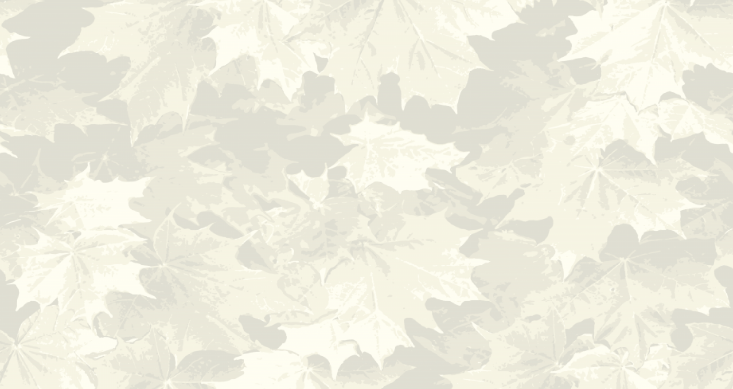 Picture of Lönn - 292-04