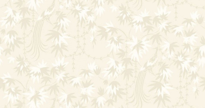 Image de Fenix - 285-04