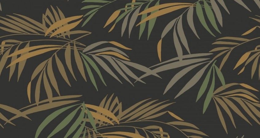 Image de Palm - 480-03