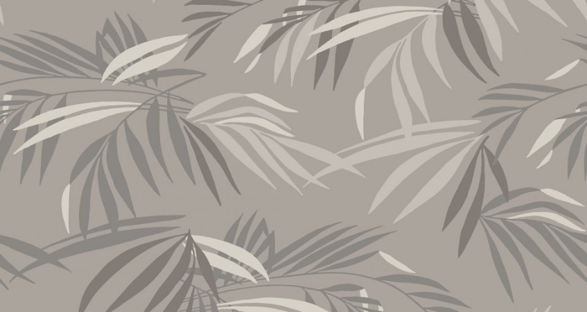 Image de Palm - 480-02