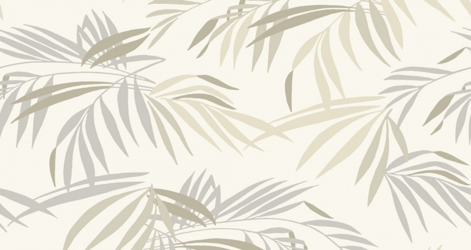 Image de Palm - 480-01