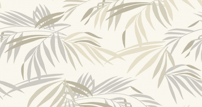 Image de Palm - 480-01