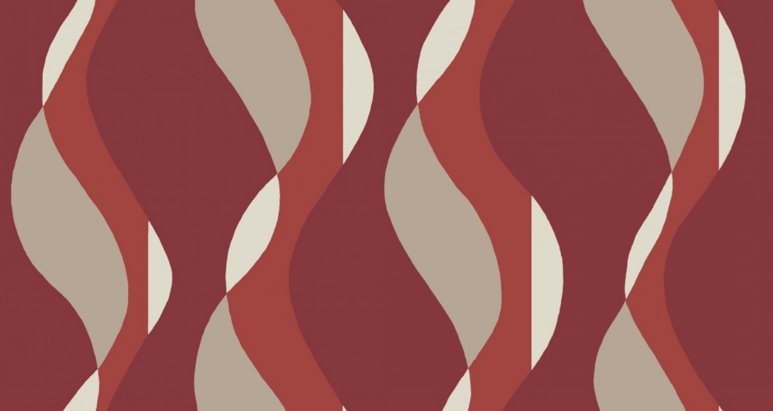 Image de Jalusi - 479-03