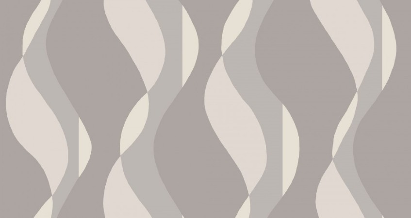 Image de Jalusi - 479-01