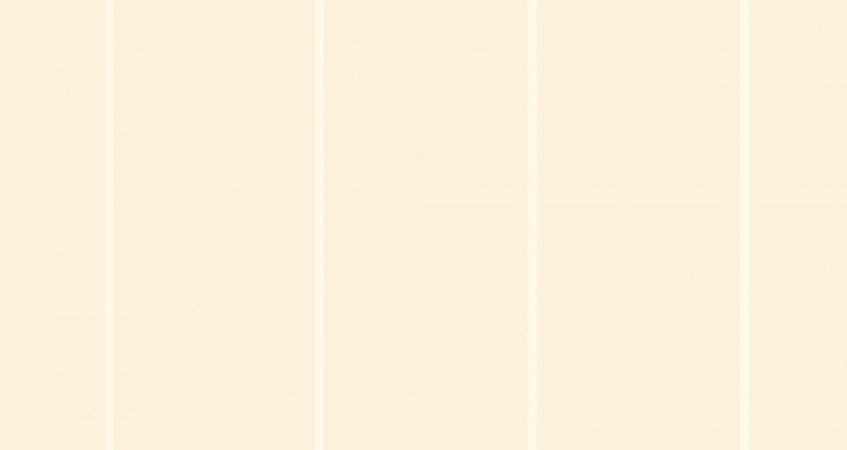 Image de Smal Rand - 485-01