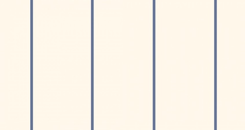 Image de Smal Rand - 485-05