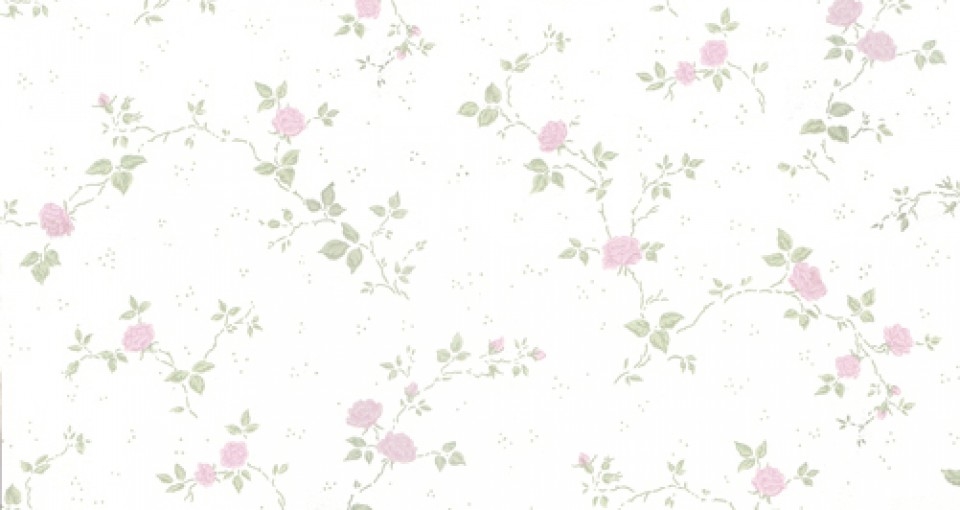 Image de Desirée - 357-04