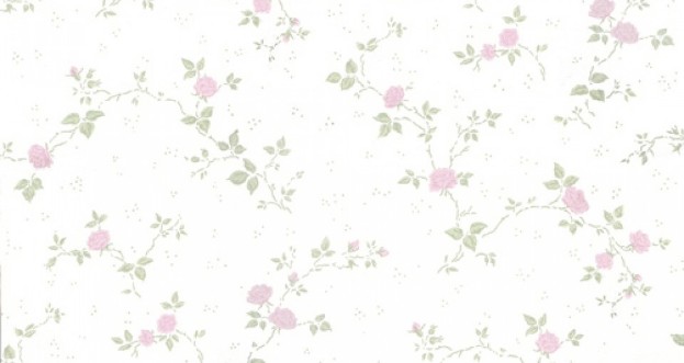 Image de Desirée - 357-04