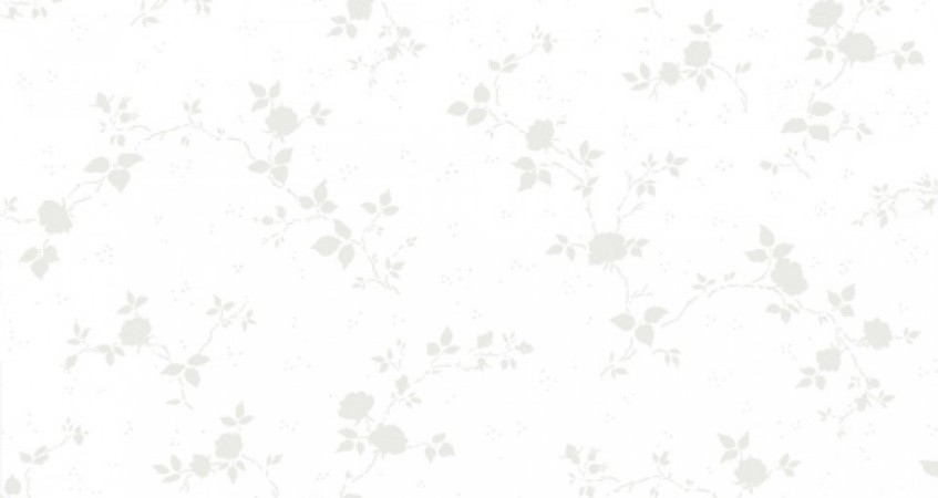 Afbeeldingen van Desirée - 357-01