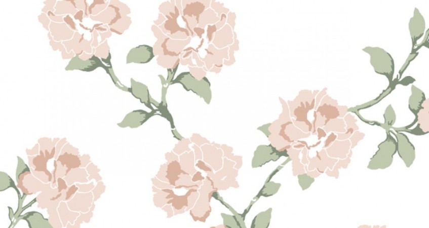 Image de Praktpion - 351-03