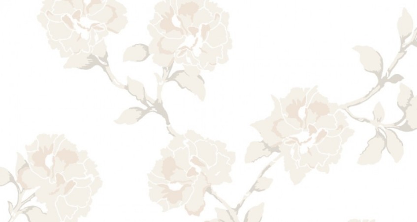 Afbeeldingen van Praktpion - 351-01