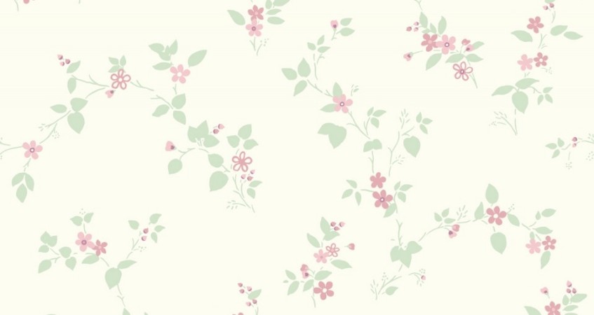 Image de Klematis - 333-02