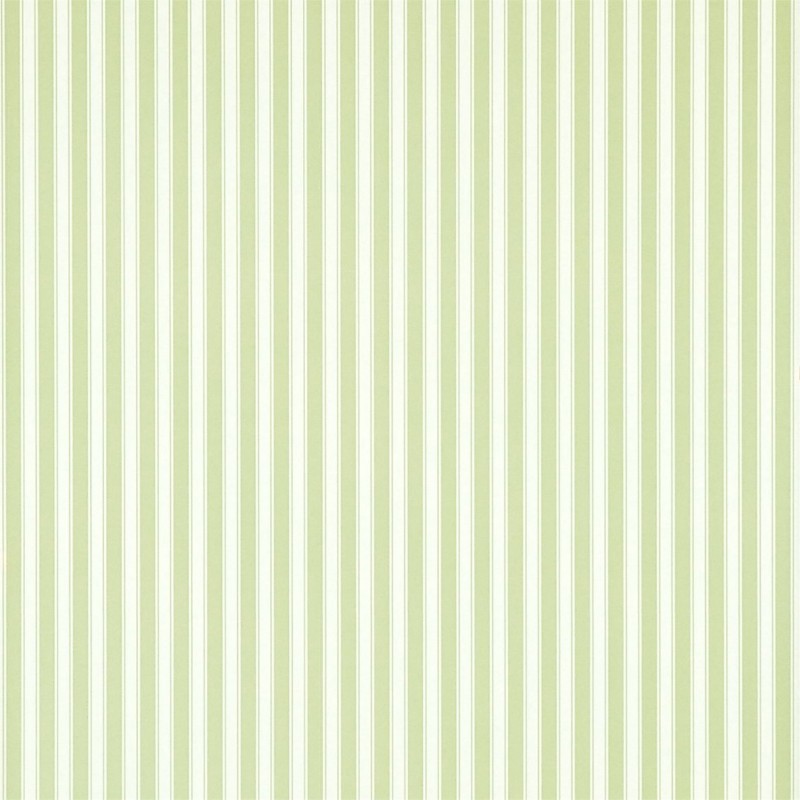 Picture of New Tiger Stripe - DCAVTP103