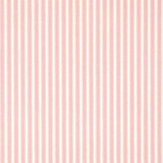 Image de NEW TIGER STRIPE Rose/Ivory - DCAVTP101