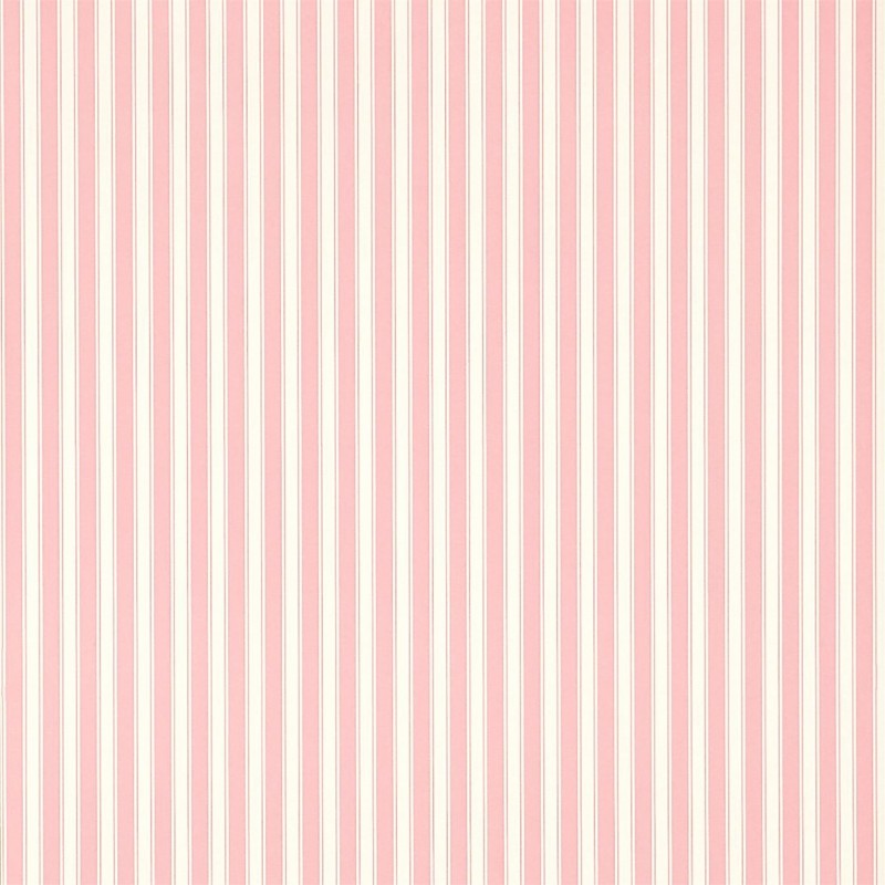 Image de NEW TIGER STRIPE Rose/Ivory - DCAVTP101