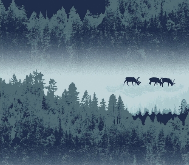 Bild på Vallila Pohjola - 5276-3