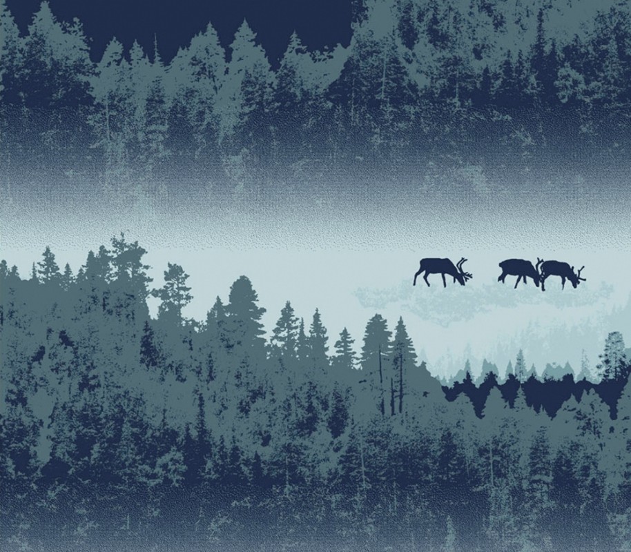 Bild på Vallila Pohjola - 5276-3