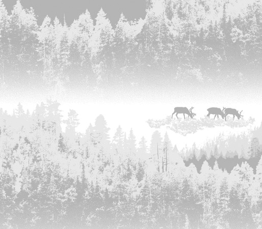 Picture of Vallila Pohjola - 5276-2