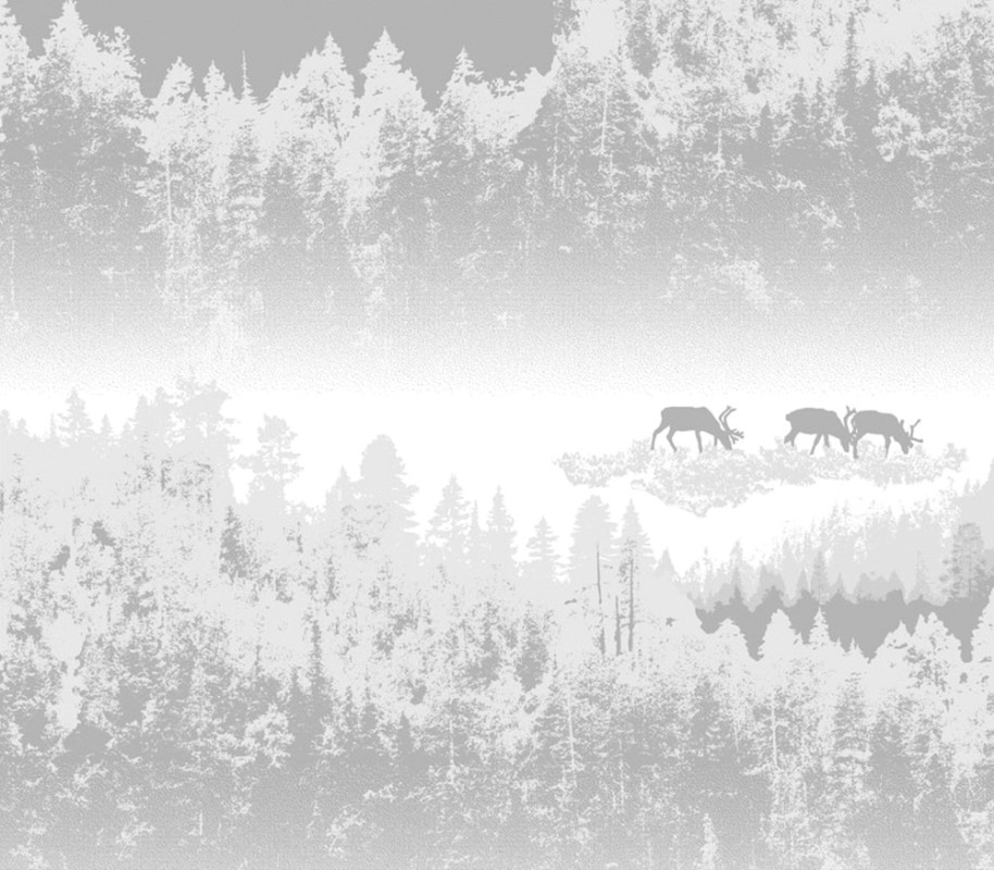 Bild på Vallila Pohjola - 5276-2