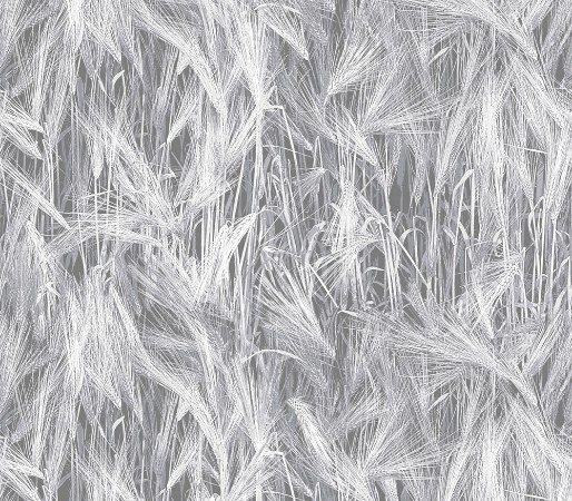 Picture of Vallila Pohjola - 5274-1