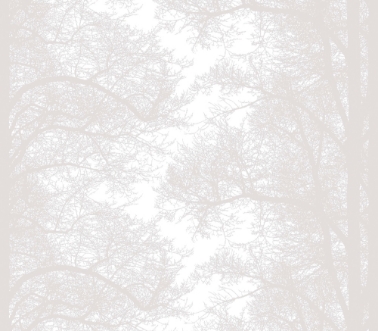 Bild på Vallila Pohjola - 5272-1