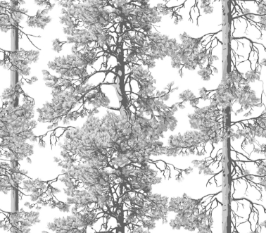 Picture of Vallila Pohjola - 5266-1