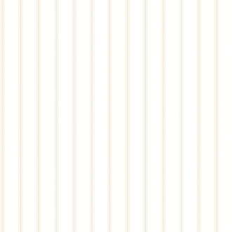 Image de Smart Stripes 2 - G67561