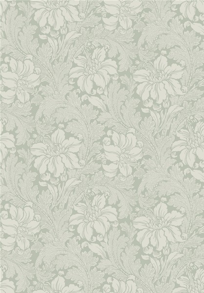 Afbeeldingen van Acanthus - 5350